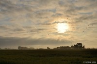 /album/%e5%a4%8f/a1-4-s-jpg/